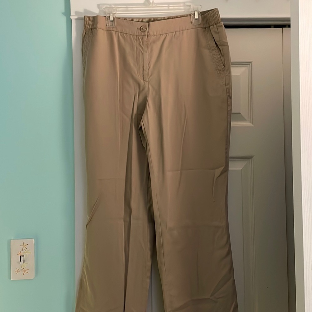 Never worn Talbots Size 12 Tan Pants